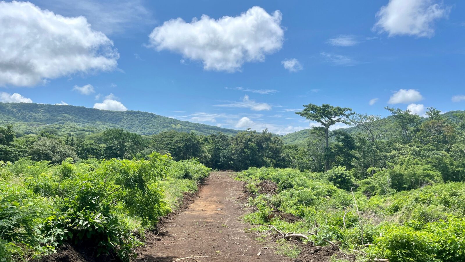 Roads in Valle de Samsara