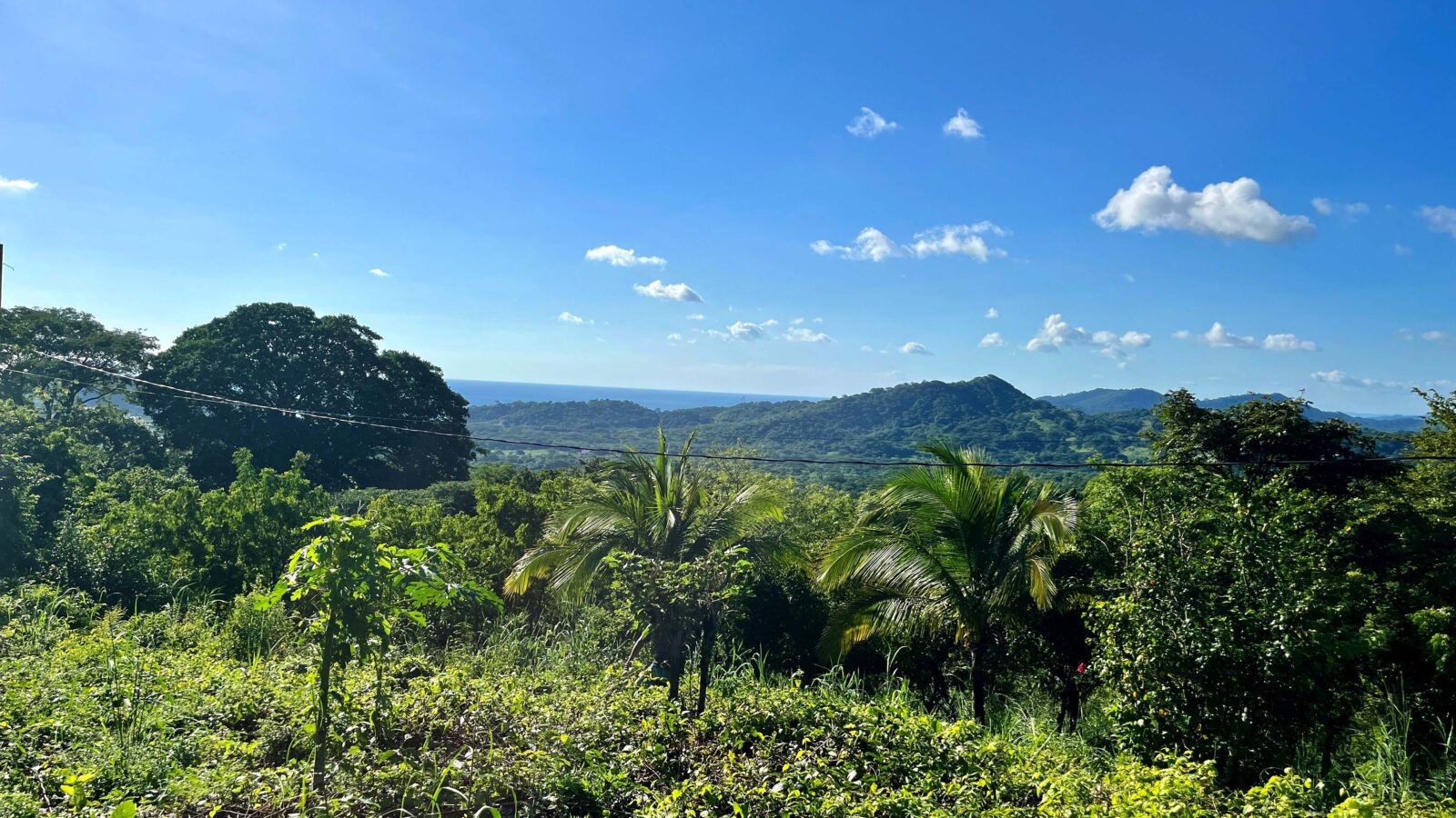 Ocean view lot near tree casa