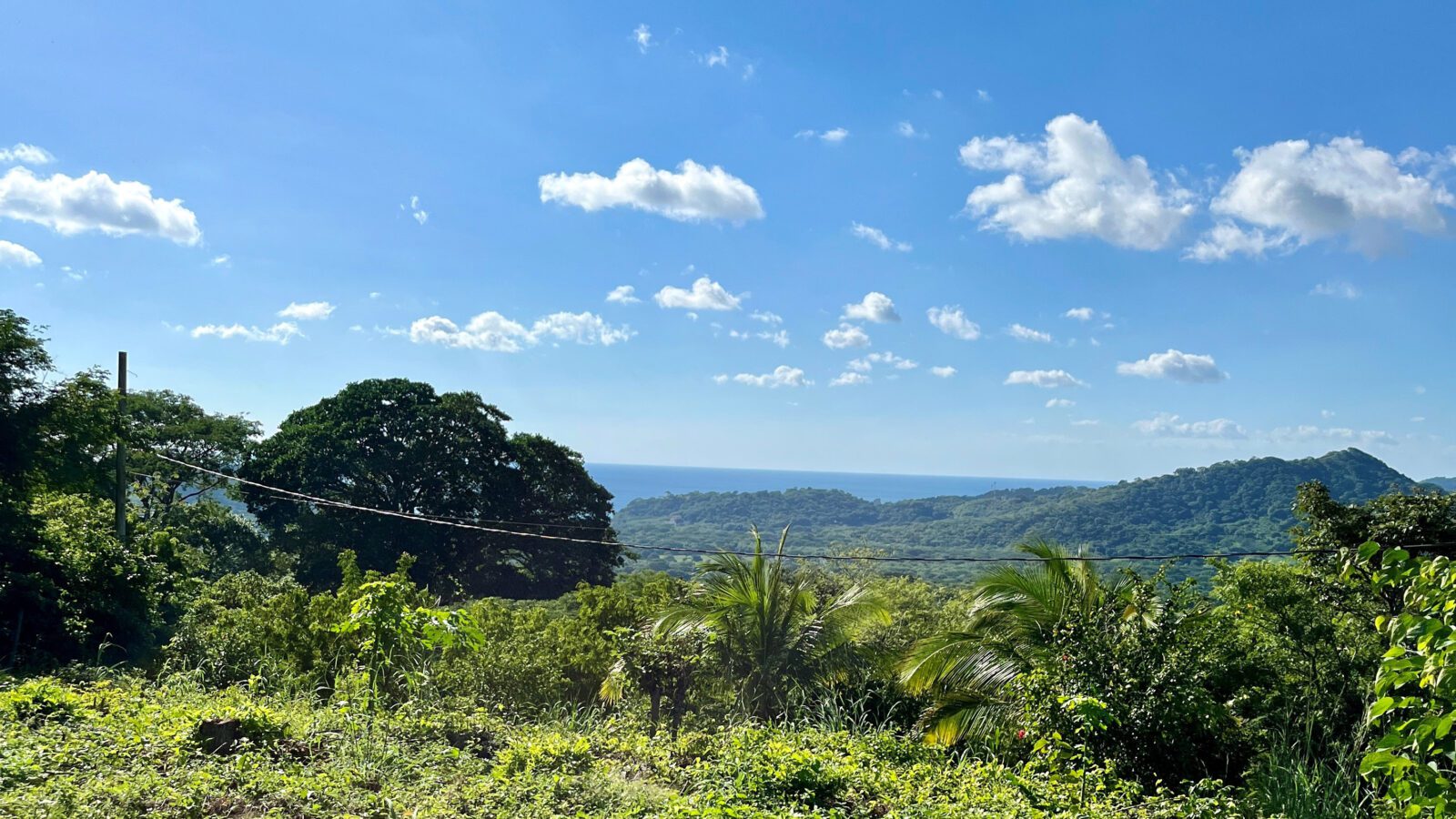 Ocean view lot near tree casa2