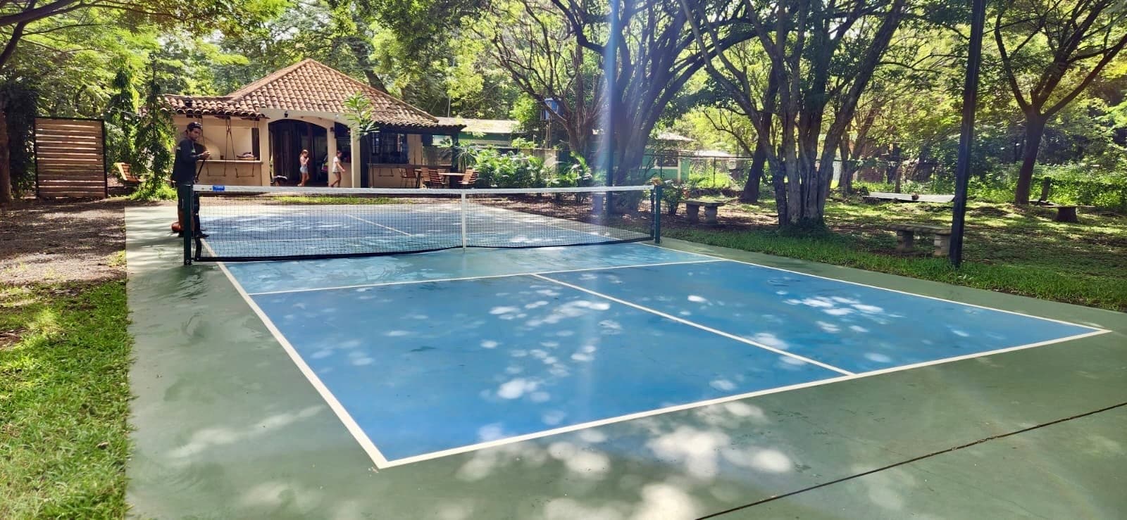 Pickleball court in nature under sunshine.